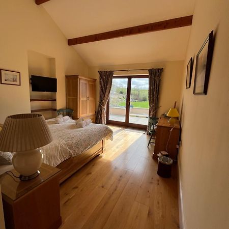 Neuadd Villa Llanwnen Екстер'єр фото