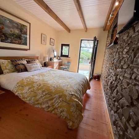 Neuadd Villa Llanwnen Екстер'єр фото