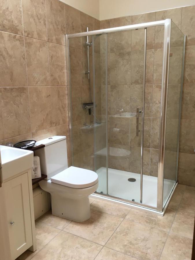 Neuadd Villa Llanwnen Екстер'єр фото