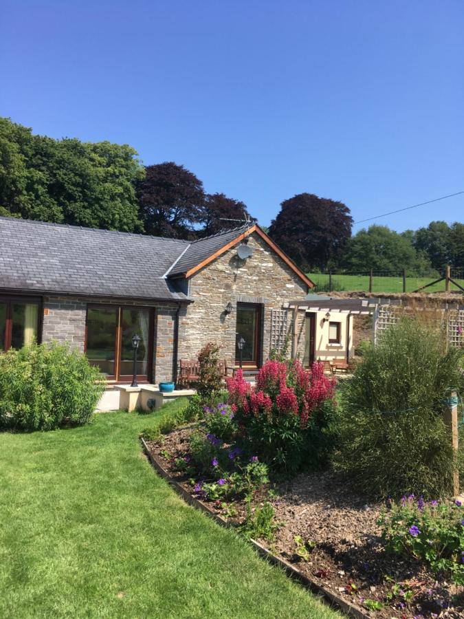 Neuadd Villa Llanwnen Екстер'єр фото