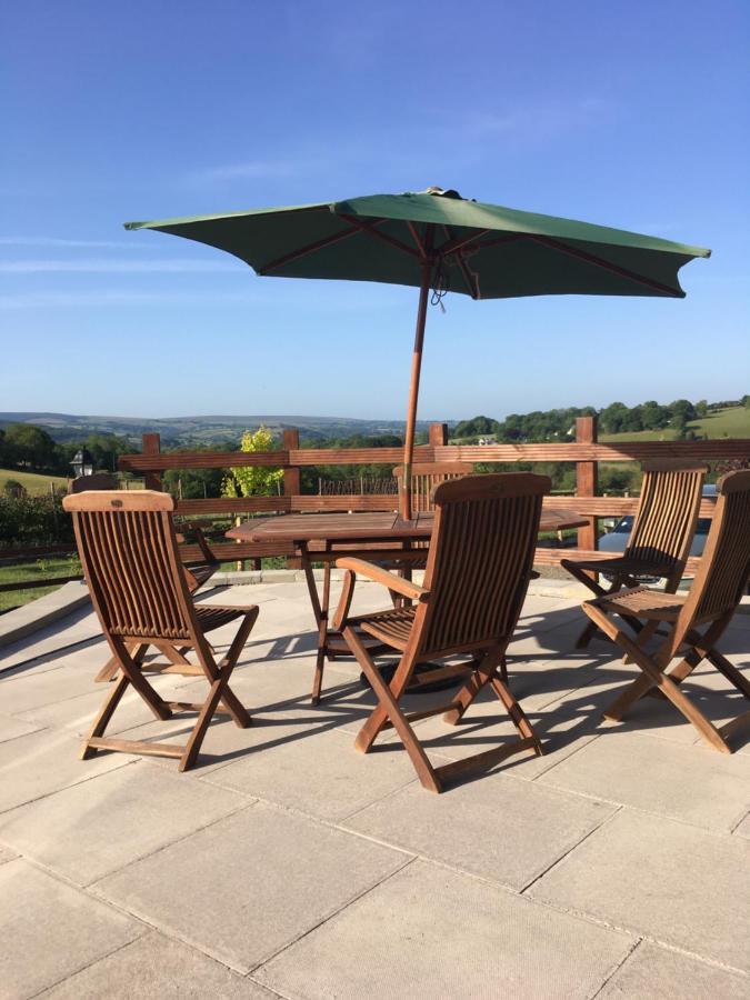 Neuadd Villa Llanwnen Екстер'єр фото