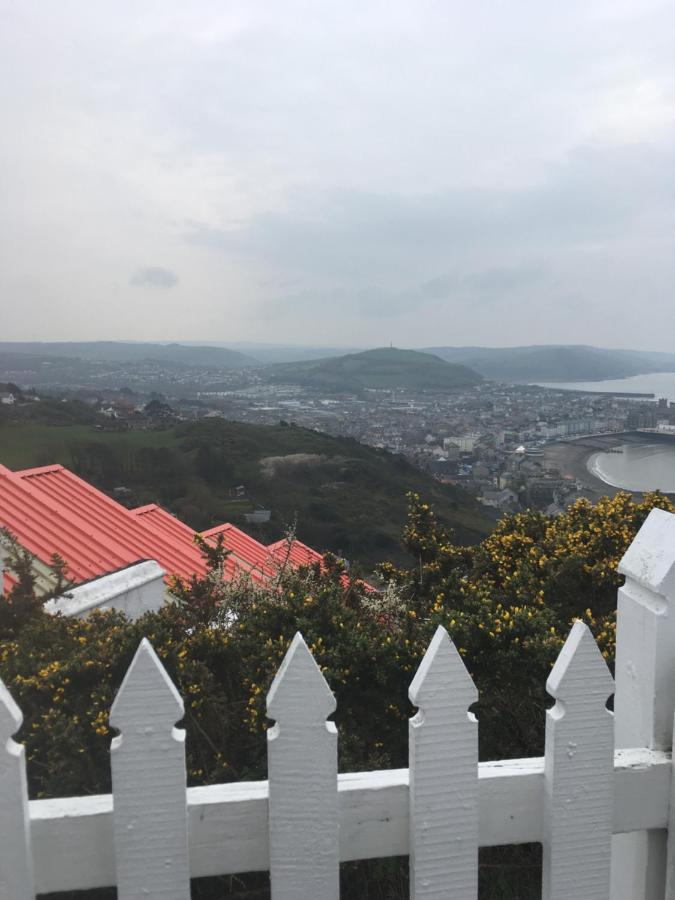 Neuadd Villa Llanwnen Екстер'єр фото